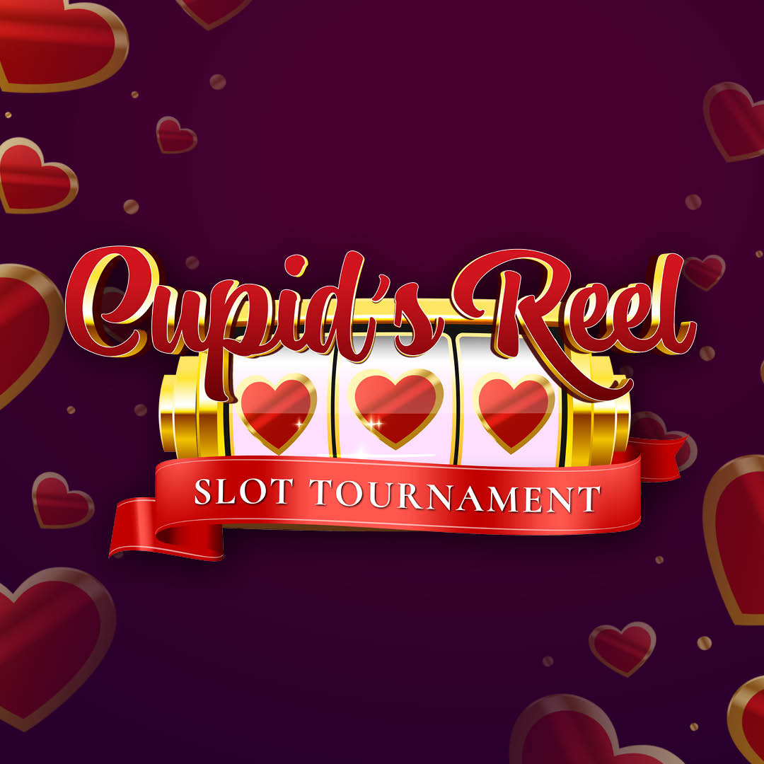 SNC 02 Prwednesdaysst 18106035120 Web 1080 X 1080