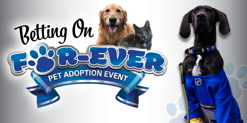 Adopt A Pet Get Free Slot Play At Seneca Niagara