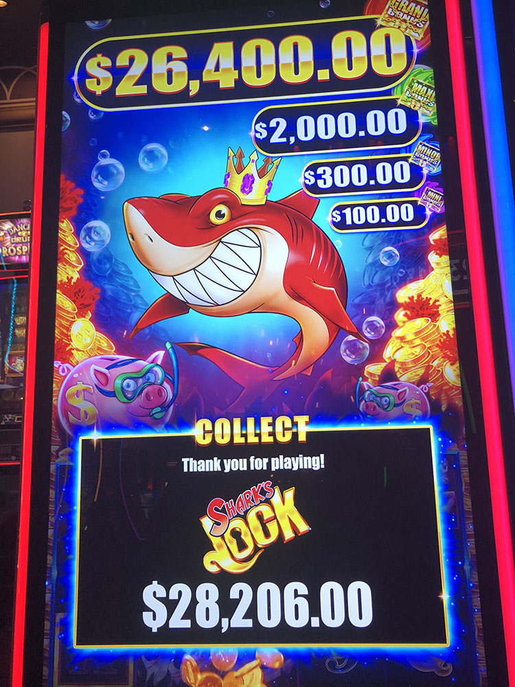 $28,206 on Sharks Lock on November 1