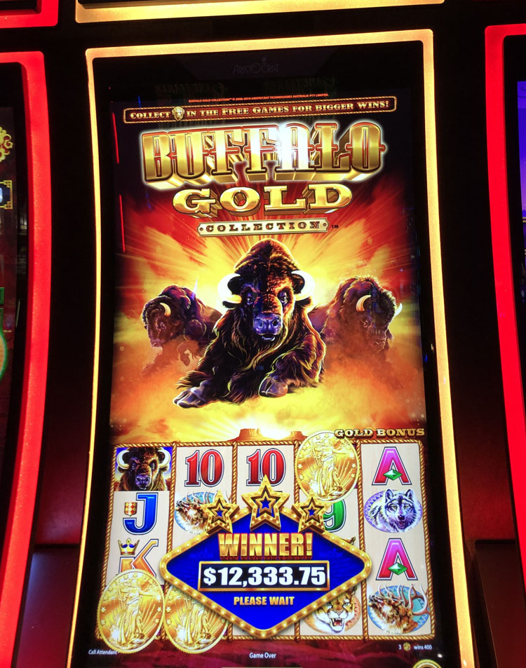 $12,334 on Buffalo Gold on November 6