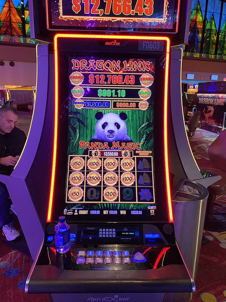 $3,550 on Dragon Link Panda Magic on December 13