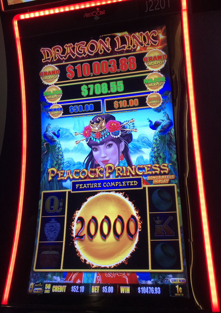 $10,477 on Dragon Link Peacock Princess on October 30