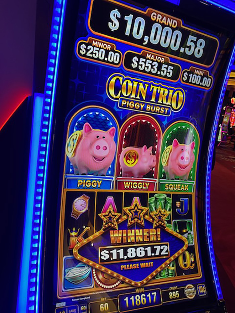 $11,862 on Coin Trio Piggy Burst on November 29