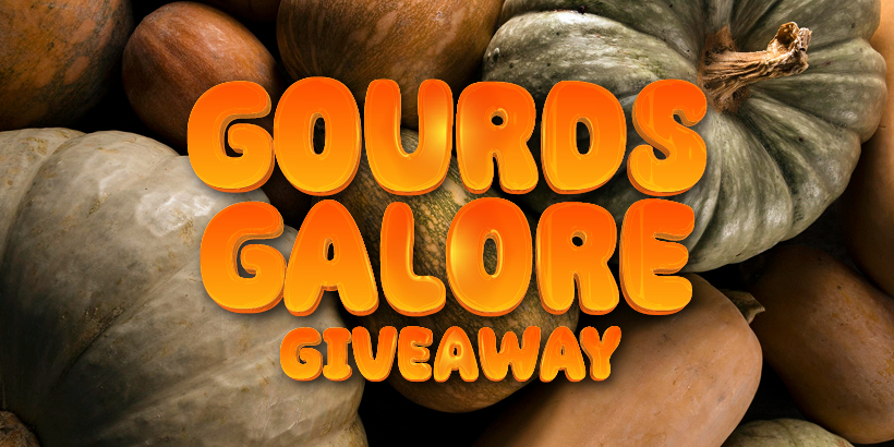 Win Your Share of $20,000 CASH in November at Seneca Niagara