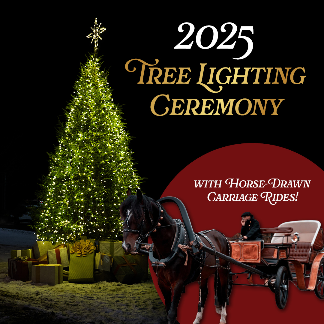 SRC 12 Adtreelightings 18276082979 Sacweb V2 1080 X 1080