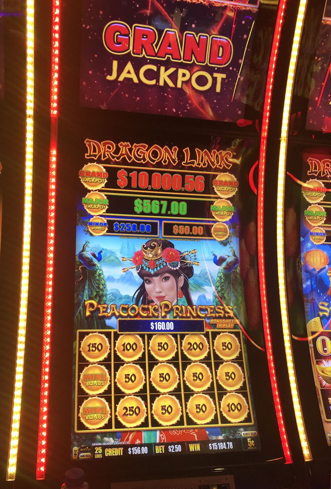 $15,185 on Dragon Link Peacock Princess on October 5