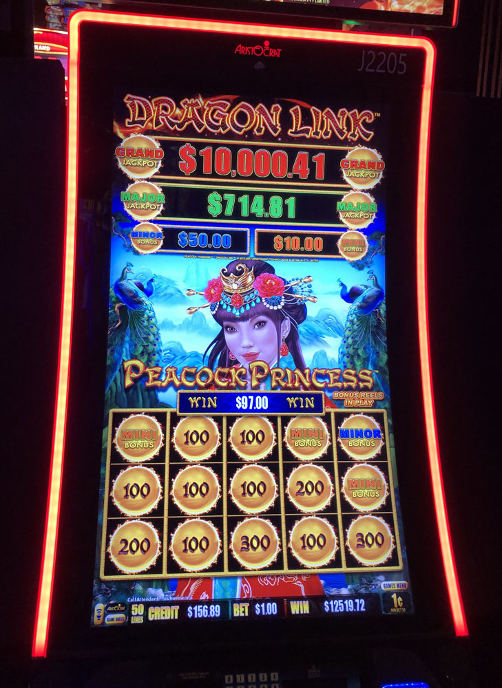 $12,520 on Dragon Link Peacock Princess on October 30