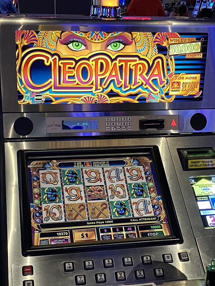 $10,000 on Cleopatra on November 30