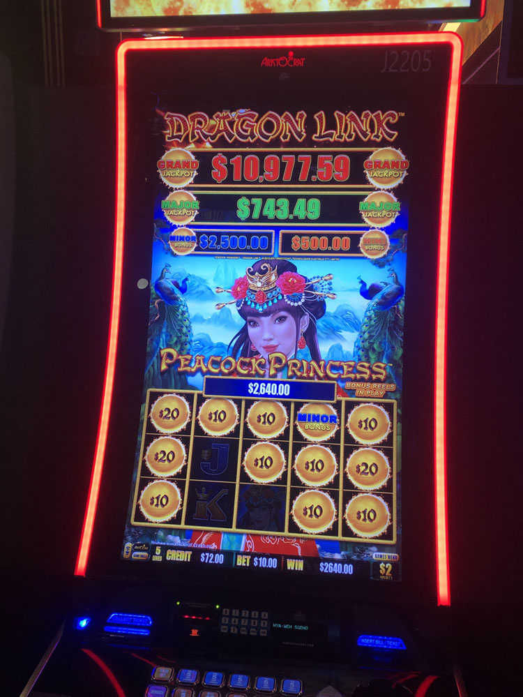 $2,640 on Dragon Link Peacock Princess on October 25