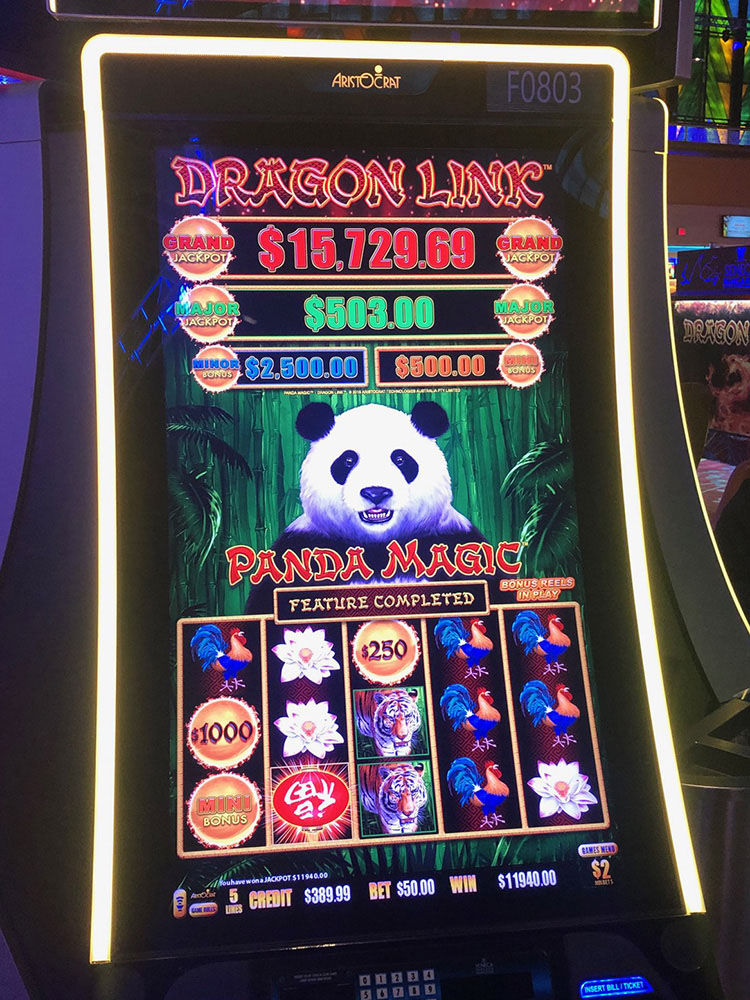 $11,940 on Dragon Link Panda Magic on November 1