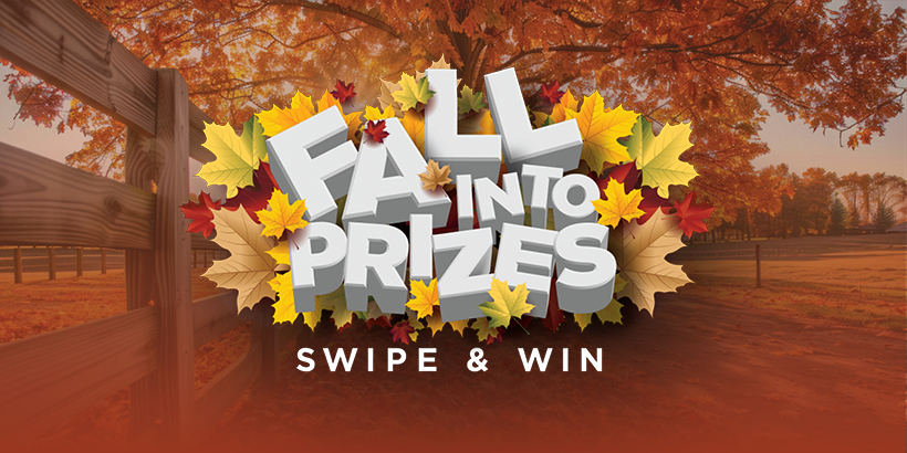 Win Your Share of $20,000 in Prizes in November at Seneca Niagara