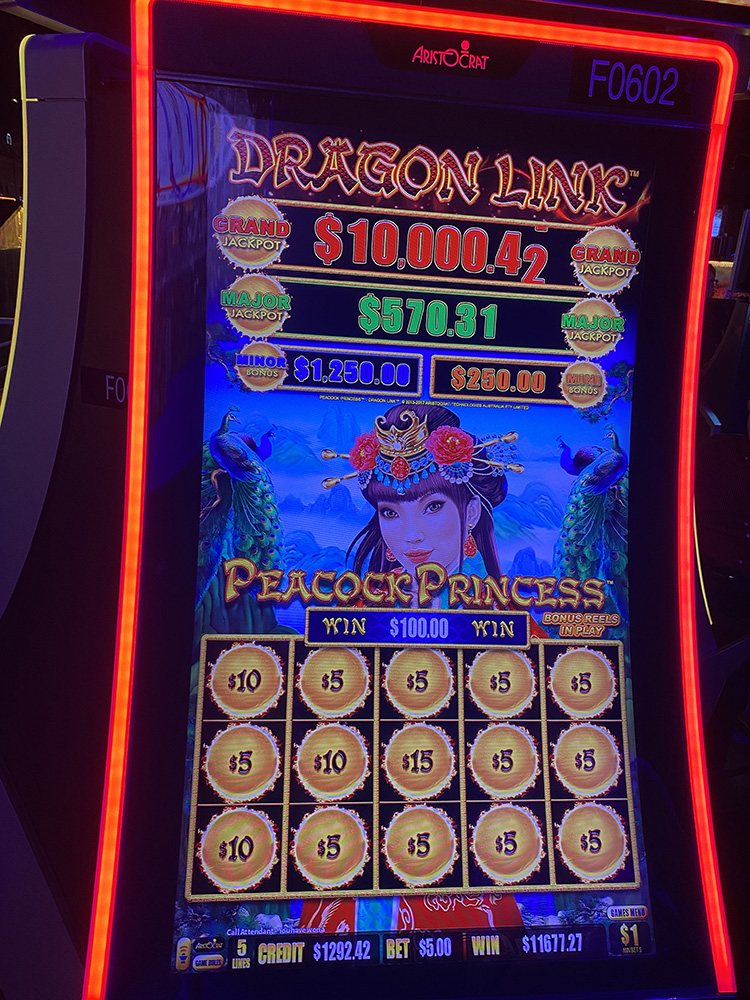 $11,678 on Dragon Link Peacock Princess on November 17